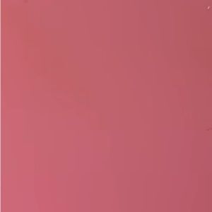 Meet your Posher, Idania